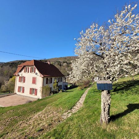 Domaine De La Charriere Sur 63 Ares - 8 Pers Grand Confort Villa Neuviller Dış mekan fotoğraf