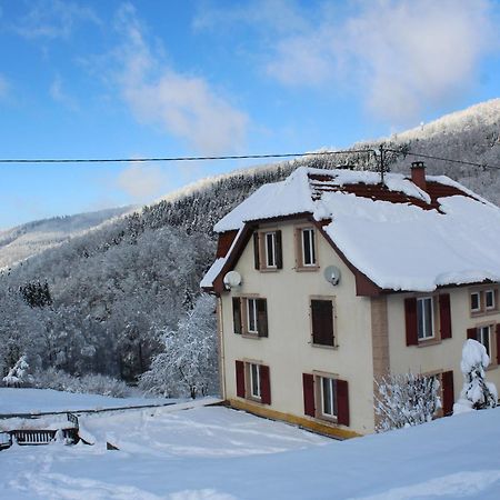 Domaine De La Charriere Sur 63 Ares - 8 Pers Grand Confort Villa Neuviller Dış mekan fotoğraf