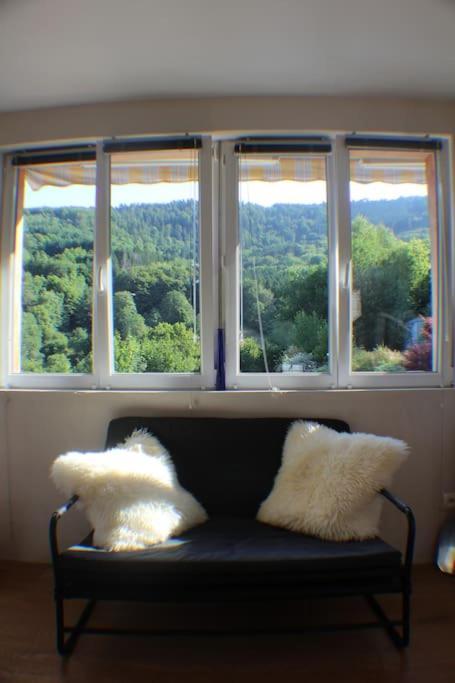 Domaine De La Charriere Sur 63 Ares - 8 Pers Grand Confort Villa Neuviller Dış mekan fotoğraf