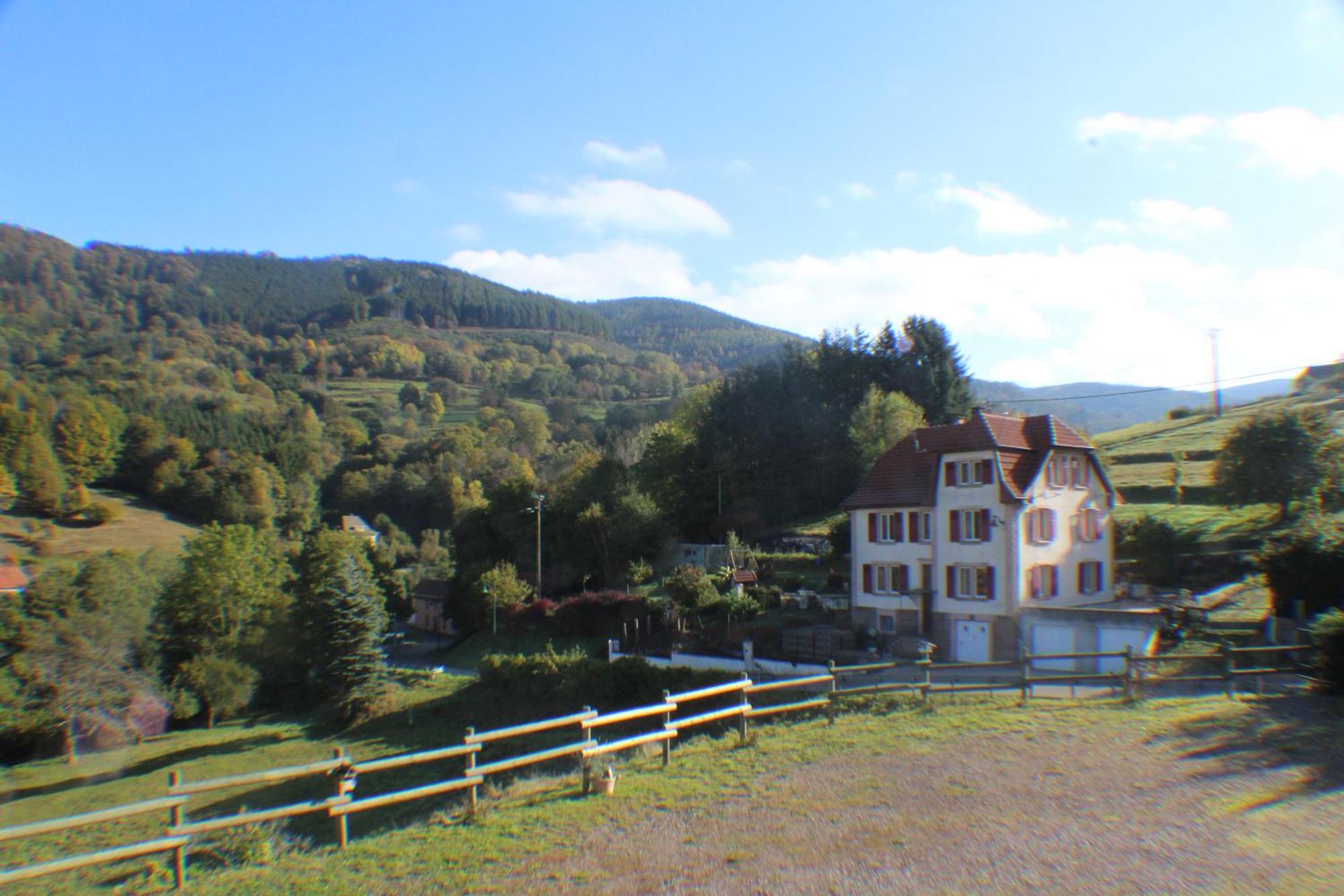 Domaine De La Charriere Sur 63 Ares - 8 Pers Grand Confort Villa Neuviller Dış mekan fotoğraf